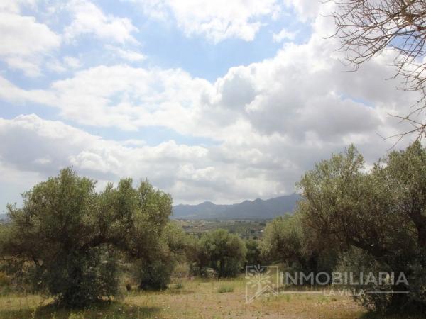 Terreno en Ardelejos - Cuesta de la Palma - Buenavista