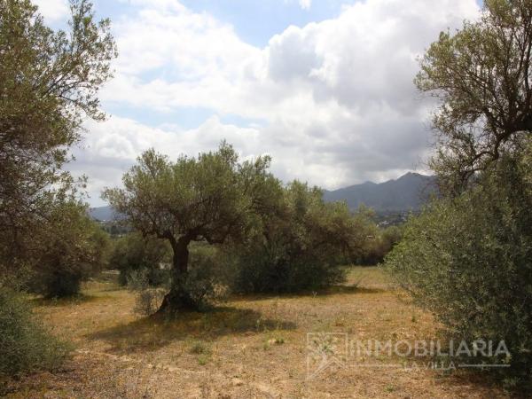 Terreno en Ardelejos - Cuesta de la Palma - Buenavista