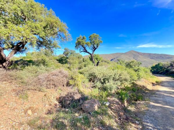 Terreno en Diseminado Rio de Ojen