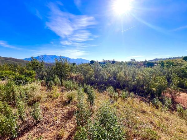 Terreno en Diseminado Rio de Ojen