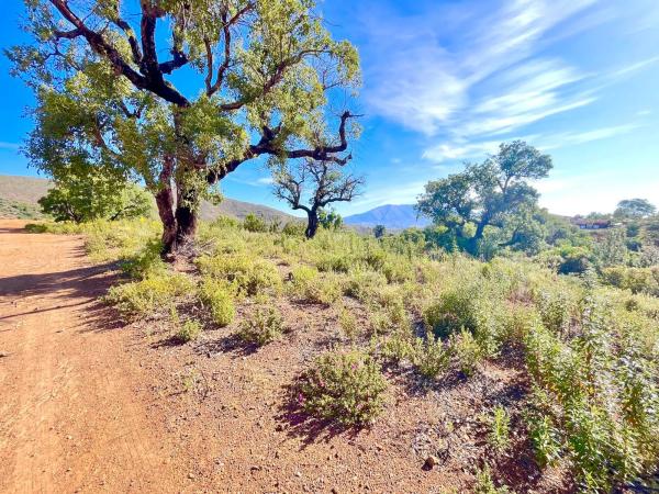 Terreno en Diseminado Rio de Ojen