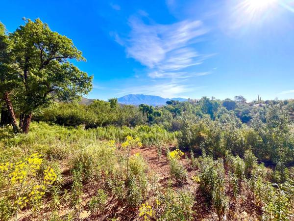 Terreno en Diseminado Rio de Ojen
