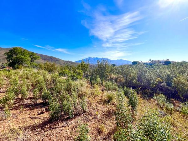 Terreno en Diseminado Rio de Ojen