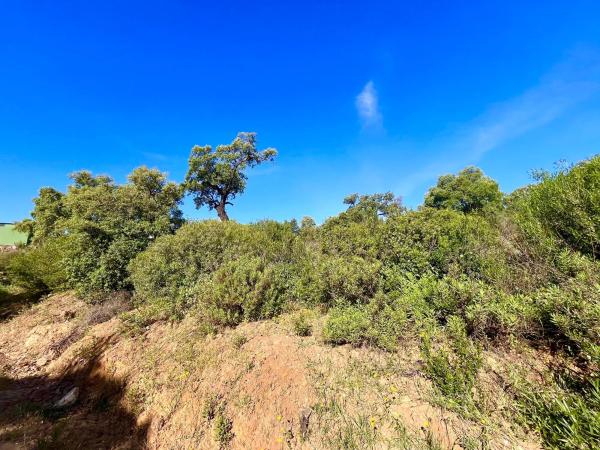 Terreno en Diseminado Rio de Ojen
