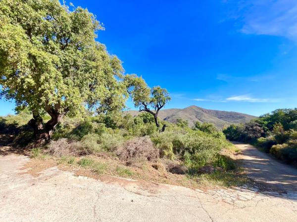 Terreno en Diseminado Rio de Ojen