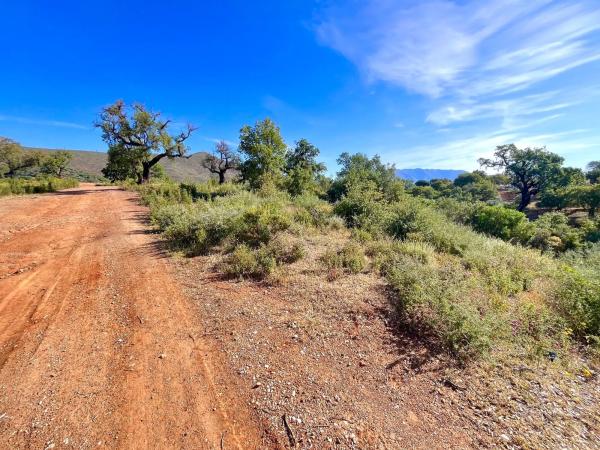 Terreno en Diseminado Rio de Ojen