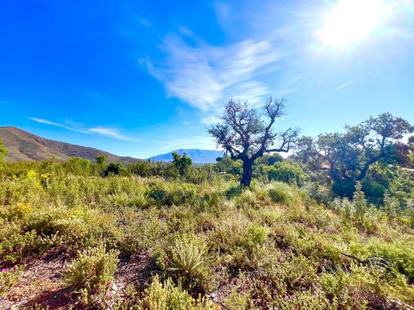 Terreno en Diseminado Rio de Ojen