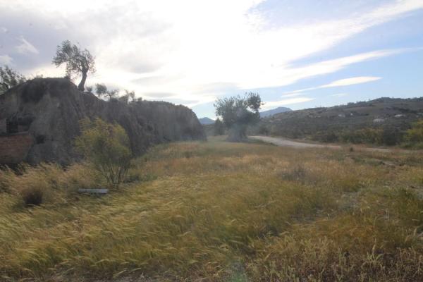 Terreno en Alora