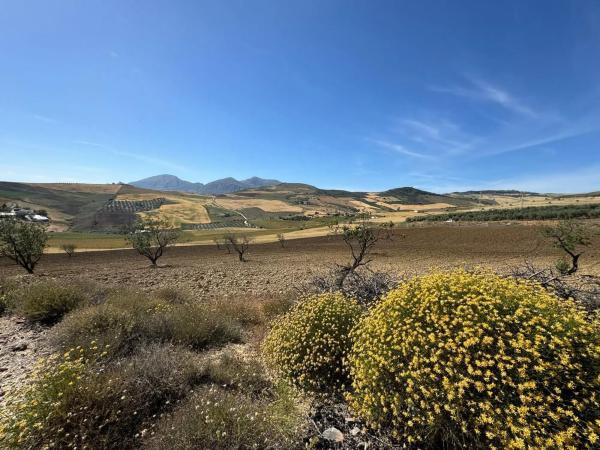 Terreno en Bobadilla - Bobadilla Estación - La Joya