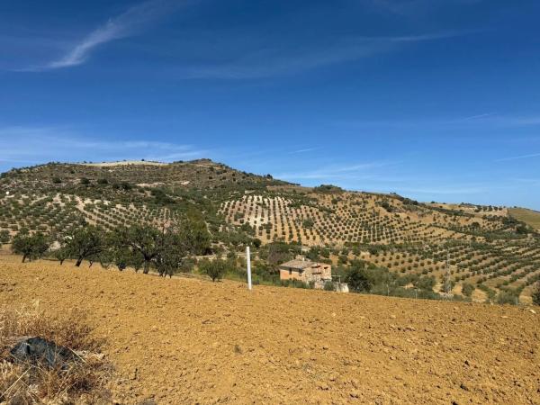 Terreno en Bobadilla - Bobadilla Estación - La Joya