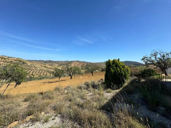 Terreno en Bobadilla - Bobadilla Estación - La Joya