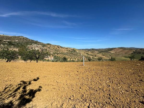 Terreno en Bobadilla - Bobadilla Estación - La Joya
