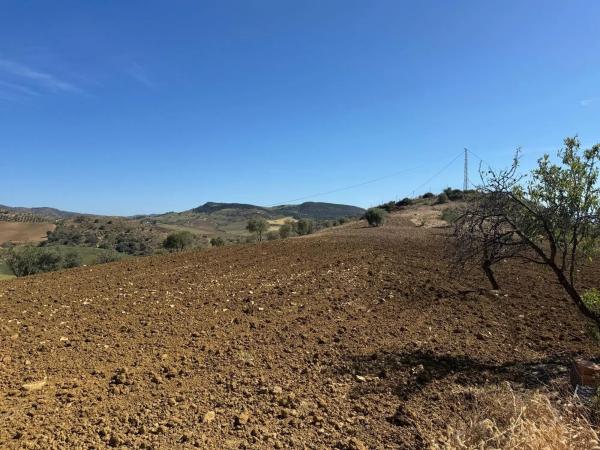 Terreno en Bobadilla - Bobadilla Estación - La Joya
