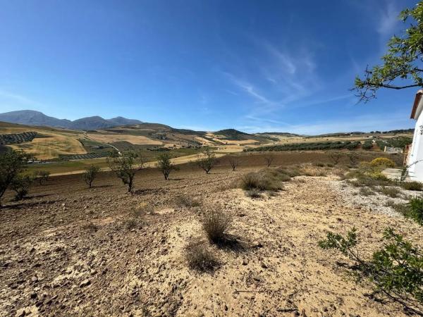 Terreno en Bobadilla - Bobadilla Estación - La Joya