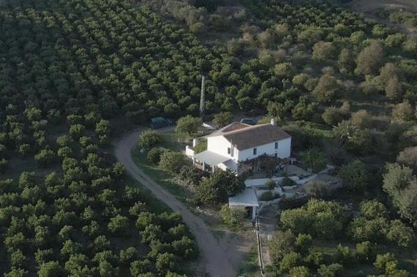 Terreno en Diseminado Poligono 17