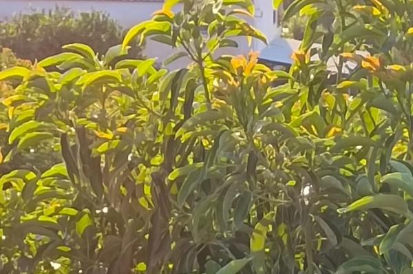 Terreno en Diseminado Poligono 17