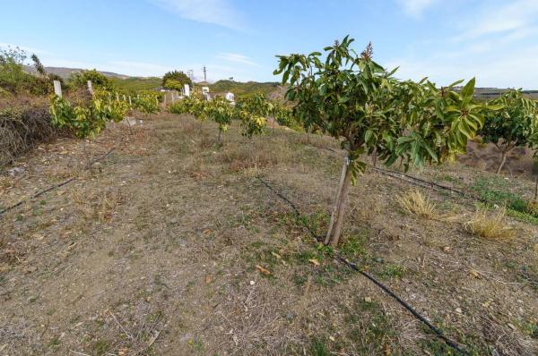 Terreno en Norte - Barrio del Pilar - El Reñidero