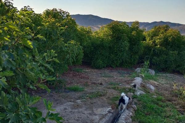 Terreno en Diseminado Poligono 17