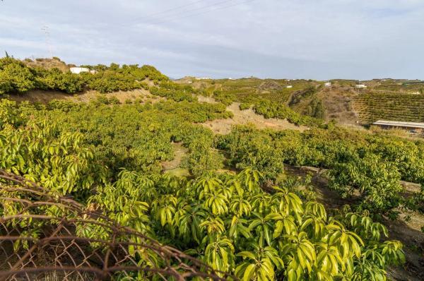 Terreno en Norte - Barrio del Pilar - El Reñidero