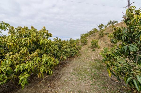 Terreno en Norte - Barrio del Pilar - El Reñidero