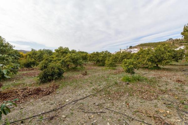 Terreno en Norte - Barrio del Pilar - El Reñidero