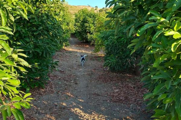 Terreno en Diseminado Poligono 17