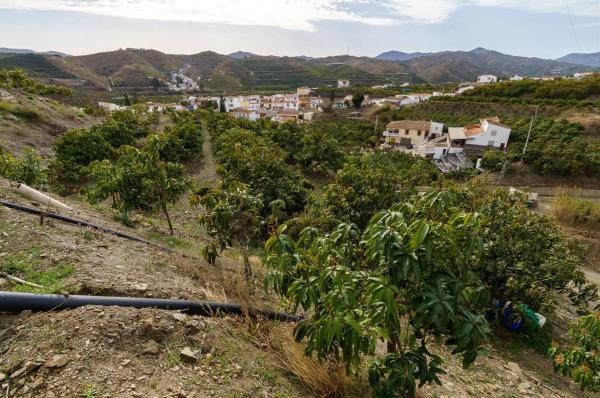 Terreno en Norte - Barrio del Pilar - El Reñidero