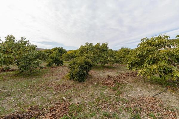 Terreno en Norte - Barrio del Pilar - El Reñidero