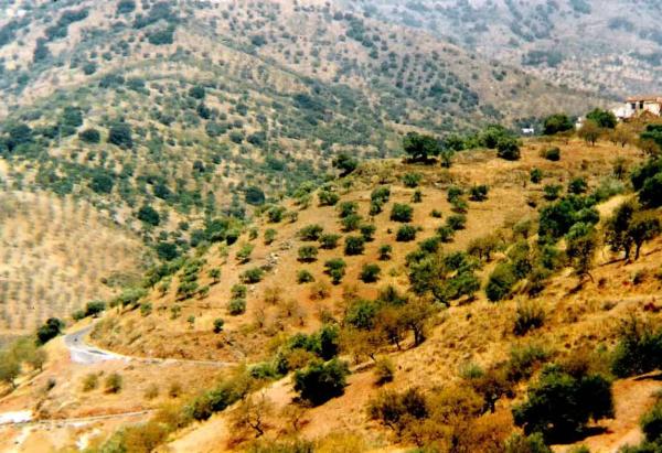 Terreno en Dolmen del cerro, km 3