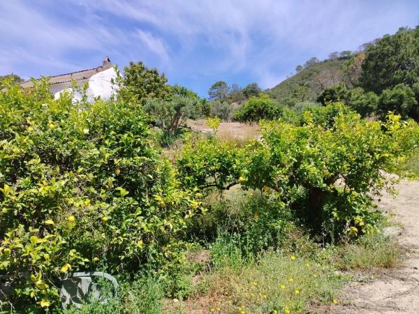 Terreno en calle Río Padrón s/n