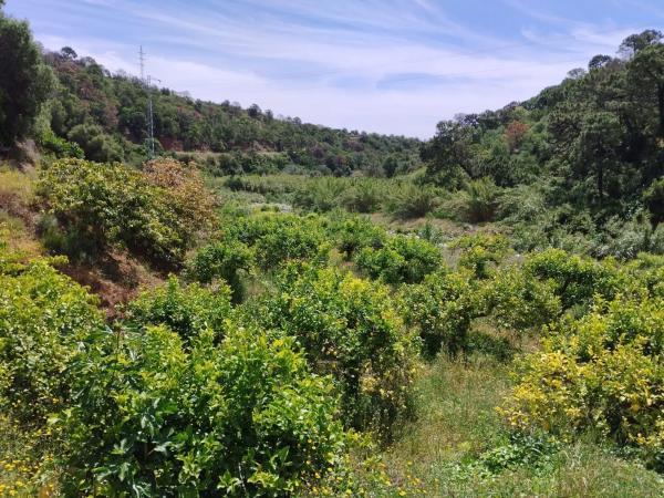 Terreno en calle Río Padrón s/n