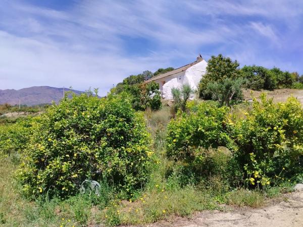 Terreno en calle Río Padrón s/n