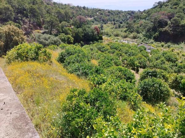 Terreno en calle Río Padrón s/n