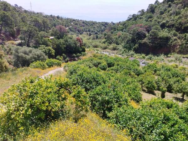 Terreno en calle Río Padrón s/n