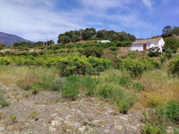 Terreno en calle Río Padrón s/n