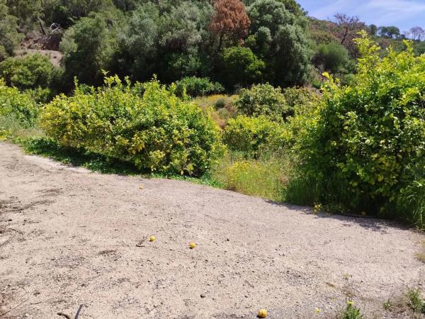 Terreno en calle Río Padrón s/n