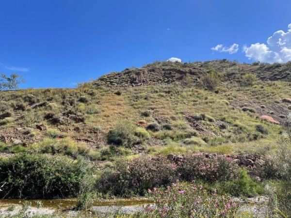 Terreno en Barrio Huerta Nueva - Jardín de Málaga