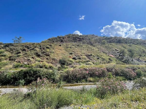 Terreno en Barrio Huerta Nueva - Jardín de Málaga