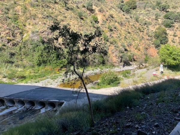 Terreno en Barrio Huerta Nueva - Jardín de Málaga