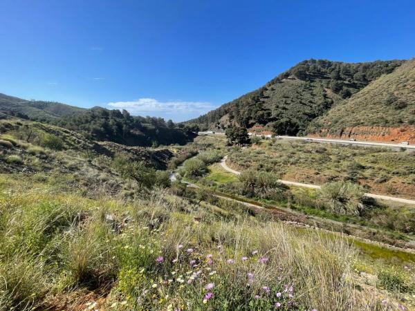 Terreno en Barrio Huerta Nueva - Jardín de Málaga