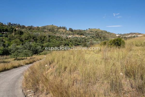 Terreno en La Majadilla del Muerto, 10