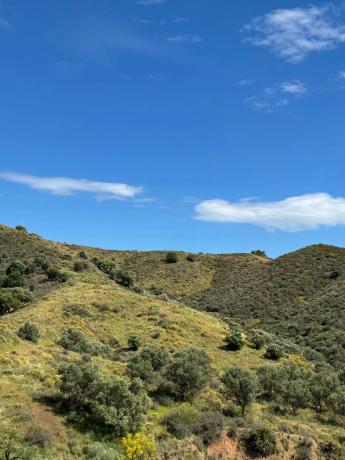 Terreno en camino de Valtocado s/n Valtocado