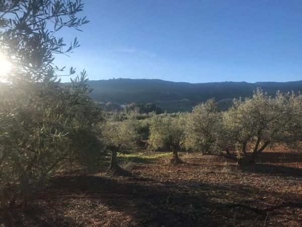 Terreno en camino Mata Grande, 1