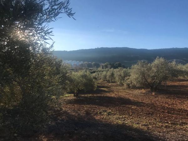 Terreno en camino Mata Grande, 1