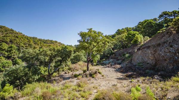 Terreno en la zagaleta s/n