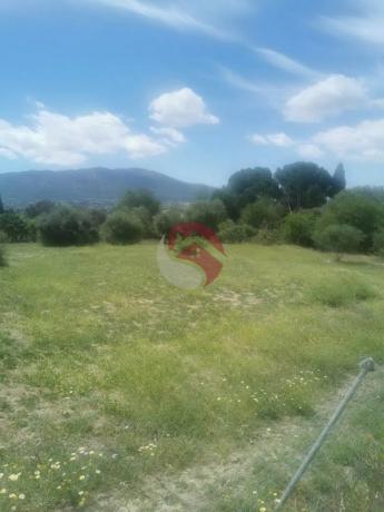 Terreno en Cártama pueblo