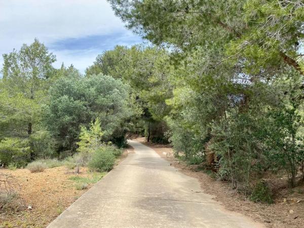 Terreno en El Pinar - Palacio de Congresos