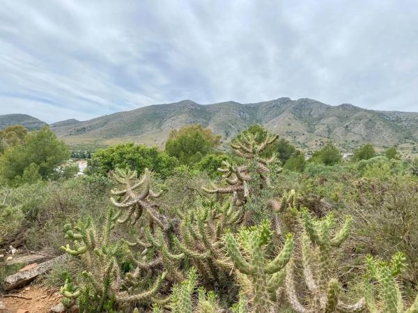 Terreno en El Pinar - Palacio de Congresos