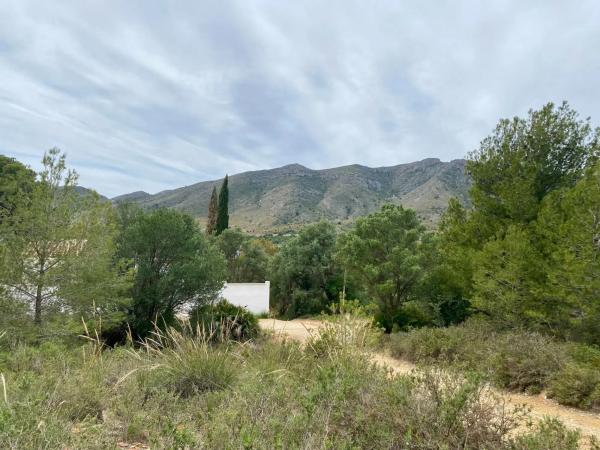 Terreno en El Pinar - Palacio de Congresos