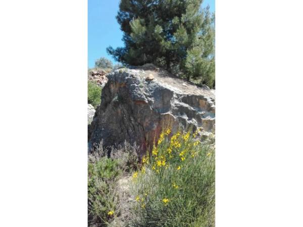 Terreno en Casarabonela